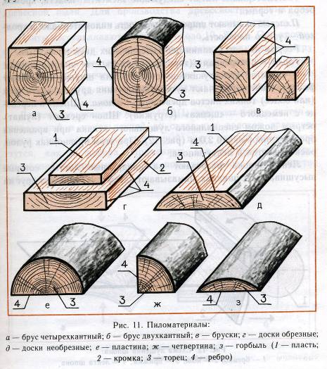 План-конспект урока Строение древесины