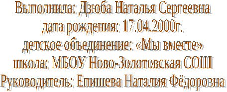 Поисковая работа «История моей семьи»