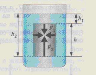 Урок по физике для 7 класса «Выталкивающее действие жидкости и газа на погруженное в них тело»