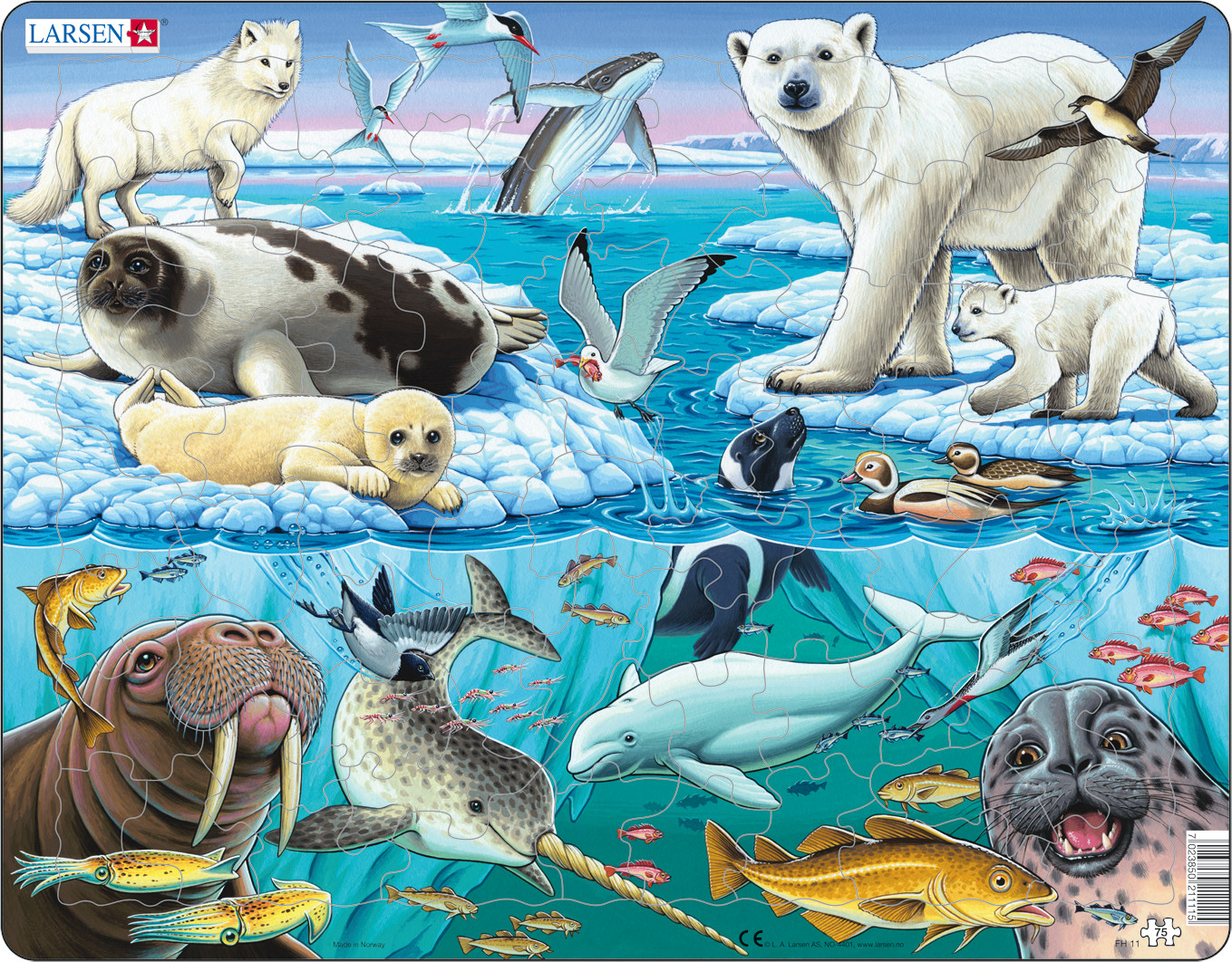 Занимательное задание по географии на тему Зона арктических пустынь. Животный мир (7 класс, школа VIII вида)
