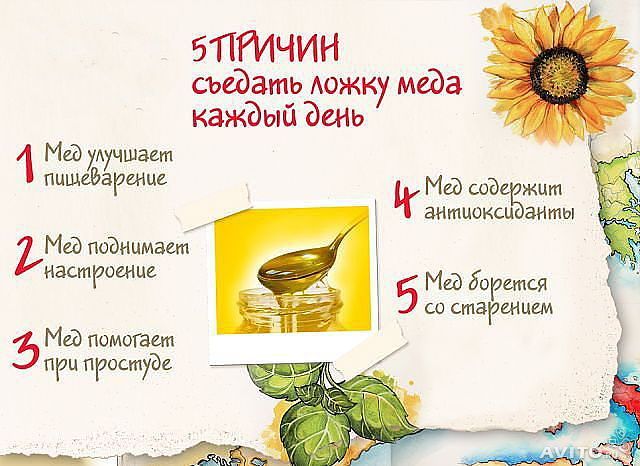 Исследовательская работа о пчелах ученика 1 В класса Вертянова Романа