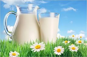Исследовательская деятельность обучающихся во внеурочное время Молоко и его свойства
