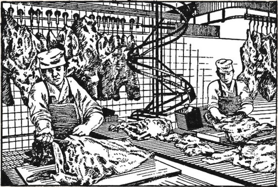 Конспект урока № 3-4 Организация рабочего места в мясо-рыбном цехе при обработке мяса, мясопродуктов.
