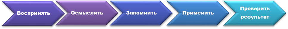 Обзор цифровых образовательных ресурсов, применяемых на уроках школьного курса анатомии