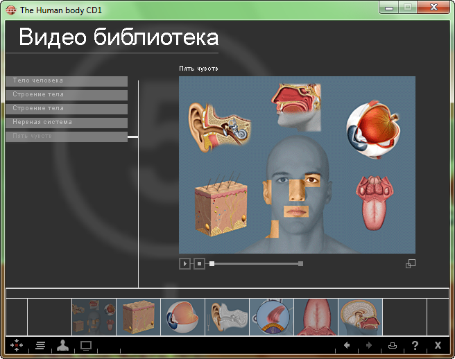 Обзор цифровых образовательных ресурсов, применяемых на уроках школьного курса анатомии