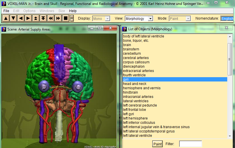 Обзор цифровых образовательных ресурсов, применяемых на уроках школьного курса анатомии