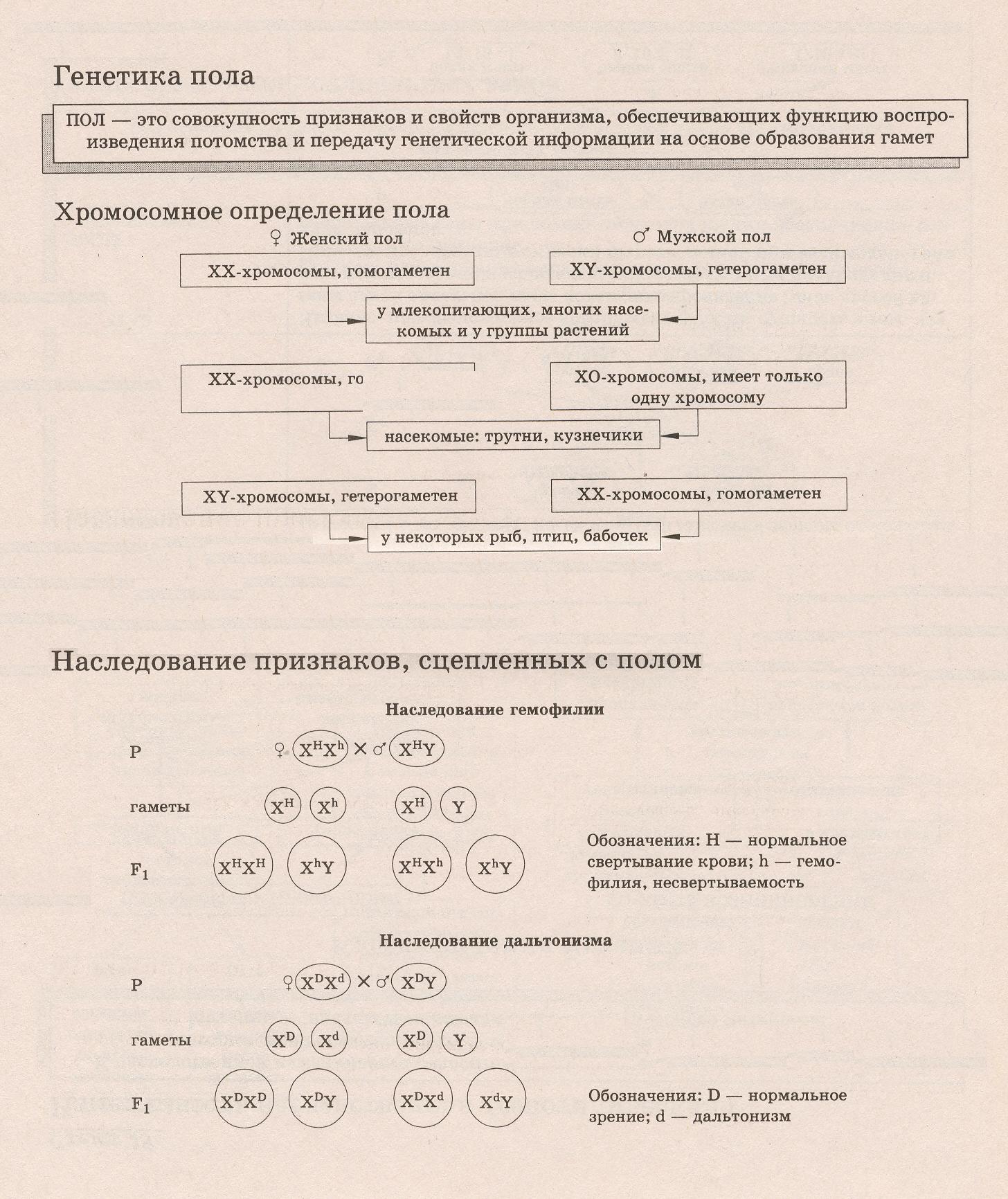 Урок по теме: «Сцепленное наследование. Генетика пола.»