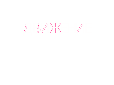 Интегрированный урок по геометрии в 9 классе по теме: Многообразие симметрии в окружающем мире