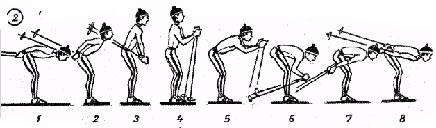 Одновременный бесшажный ход на лыжах картинки