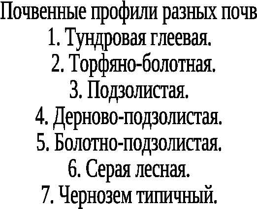 Факторы образования почв. Основные типы почв. Почвенные ресурсы России. 9 класс