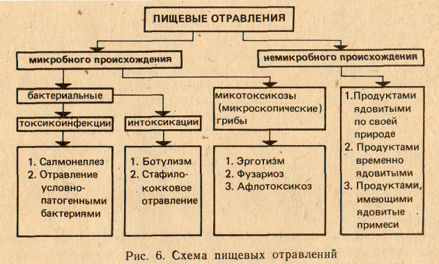 Схема пищевых отравлений