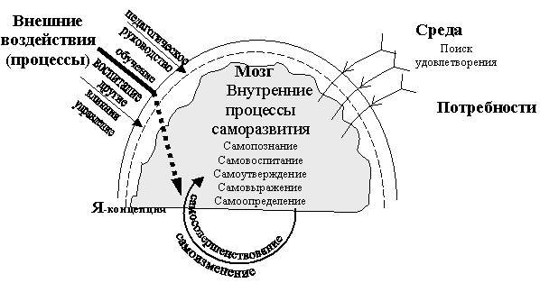 Рабочая программа элективного курса Научи себя учиться (8 класс)