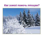 Конспект урока по окружающему миру на тему «Как зимой помочь птицам?» (1 класс)