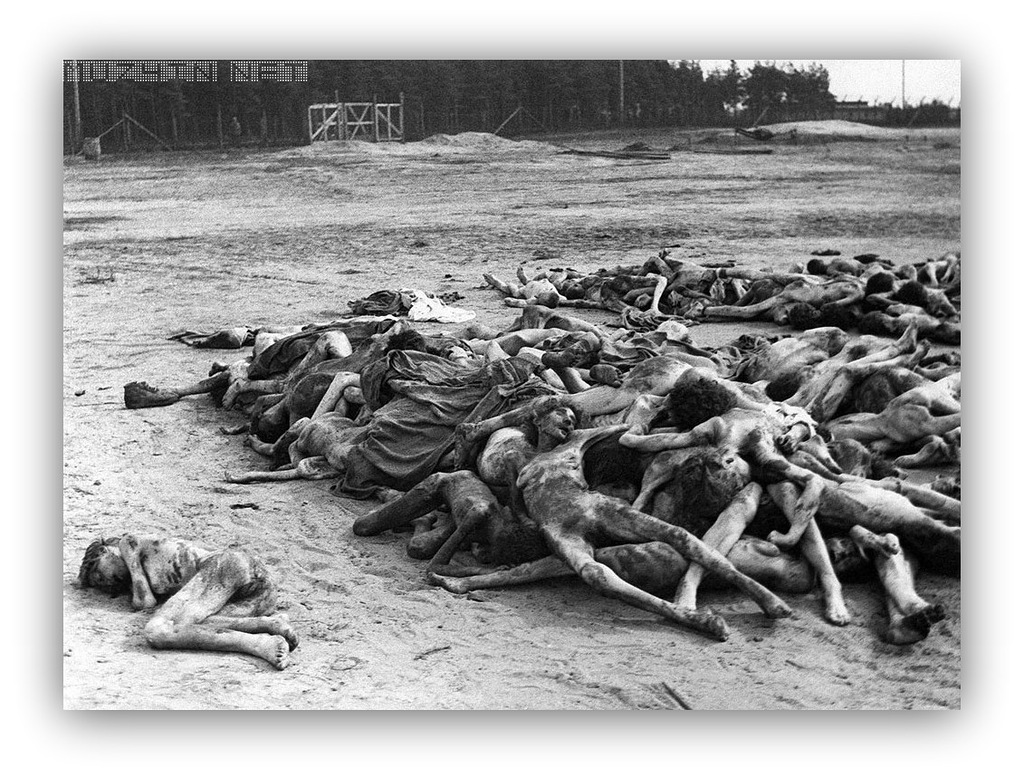 Холокост в годы Великой Отечественной войны буклет