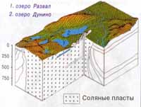 Учебник Чибилева и Ахметова География Оренбургской области 8 -9 класс