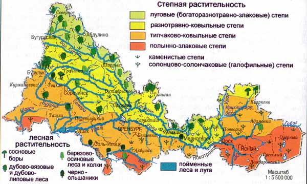 Учебник Чибилева и Ахметова География Оренбургской области 8 -9 класс