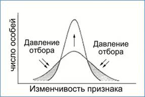 Уроки биологии 11 класс, 1 четверть