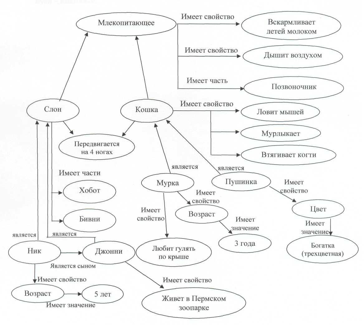 Иметь характеристики. Семантическая информационная модель. Семантическая сеть по сказке Золушка Информатика. Семантическая схема пример. Семантическая сеть по сказке Золушка.