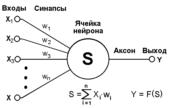 Реферат на тему Компьютер внутри человека, сопровождаемый презентацией.