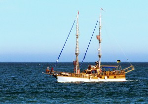 Исследовательская работа «Тайна морской воды»