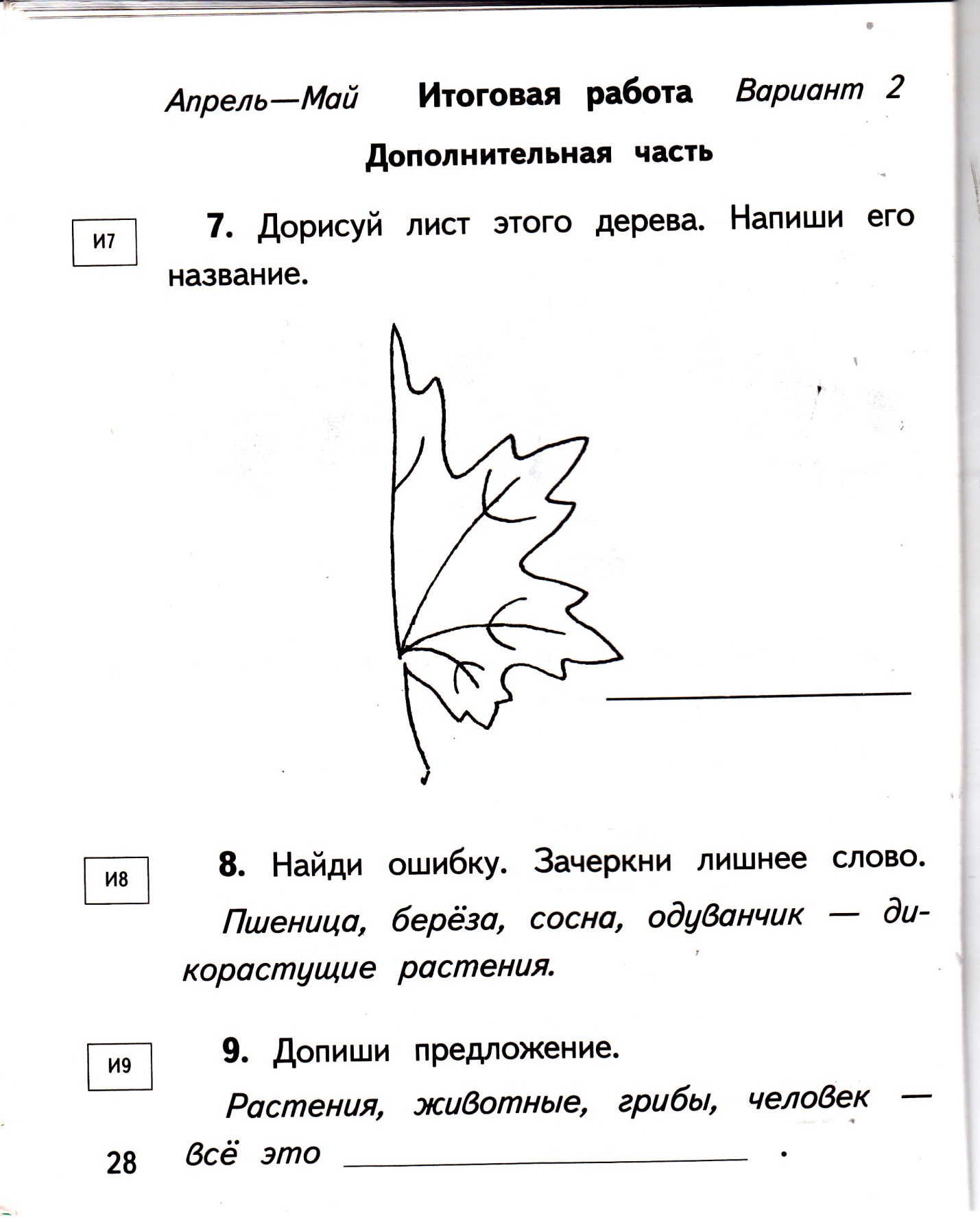 Рабочая программа по окружающему миру 1 класс УМК Планета знаний