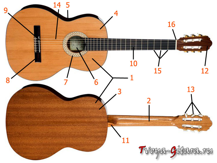 Части гитары. Строение шестиструнной гитары классической. Гитара ленинградка 6 струнная акустическая гитара схема. Строение гитары классической 6 струнной. Строение шестиструнной акустической гитары.