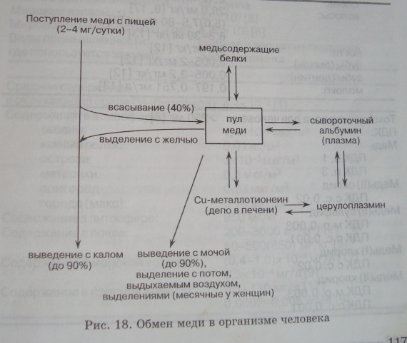 «Медь в окружающей среде и организме человека»