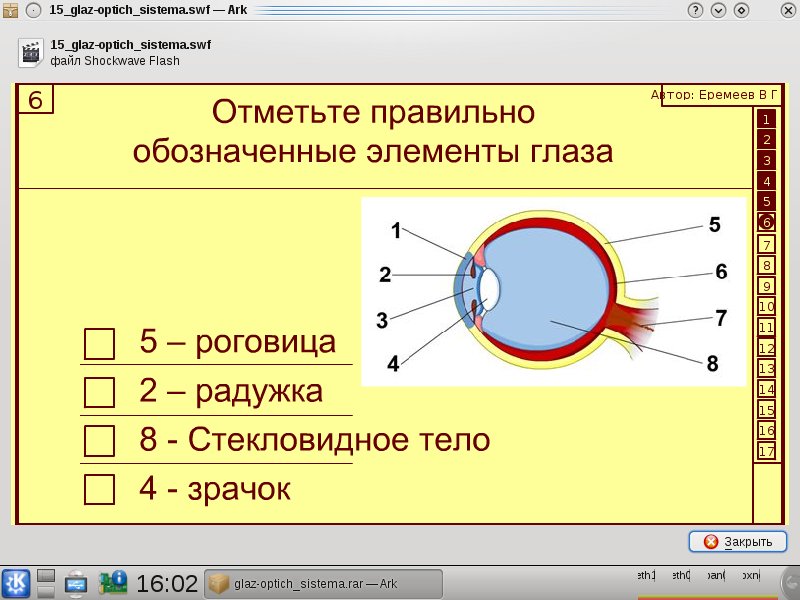 Урок по физике для 8 класса «Глаз как оптическая система»