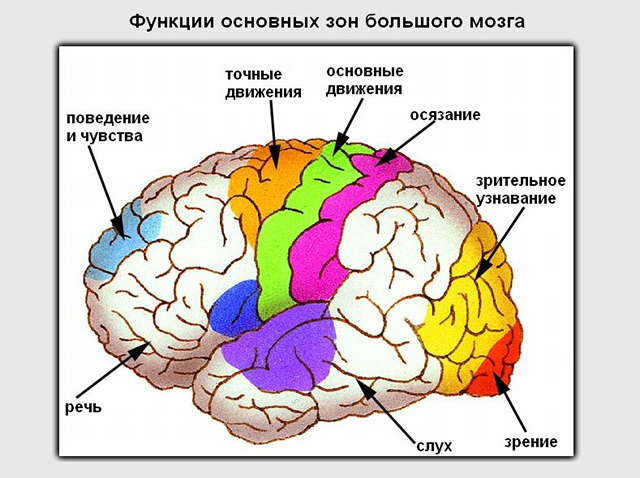 Презентация открытого мероприятия для учащихся 9-11 классов Человек будущего.