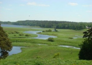 Картотека Растительный мир Пермского края