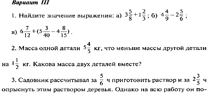 Рабочая программа по математике 6 класс,автор Н.Я.Виленкин и др.