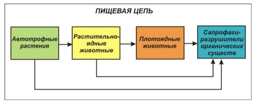 Методическая разработка Рабочая тетрадь по экологии Вологодской области