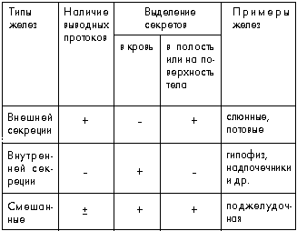 Урок биологии в 8 классе на тему «Железы внутренней секреции. Эндокринная система, ее связь с нервной системой. Гипофиз. Щитовидная железа».