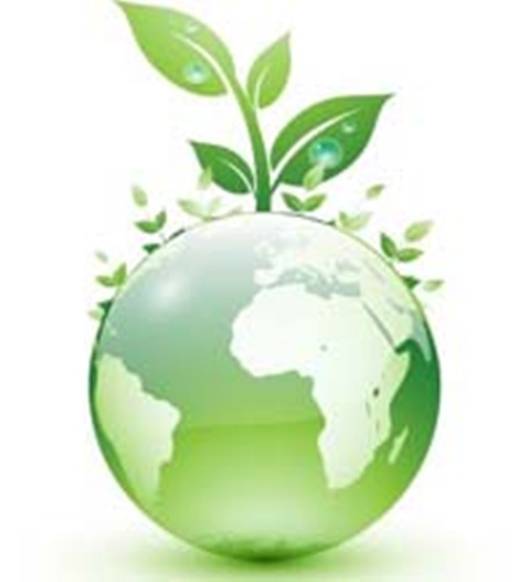 Разработка проекта: Экологическое образование в интересах устойчивого развития
