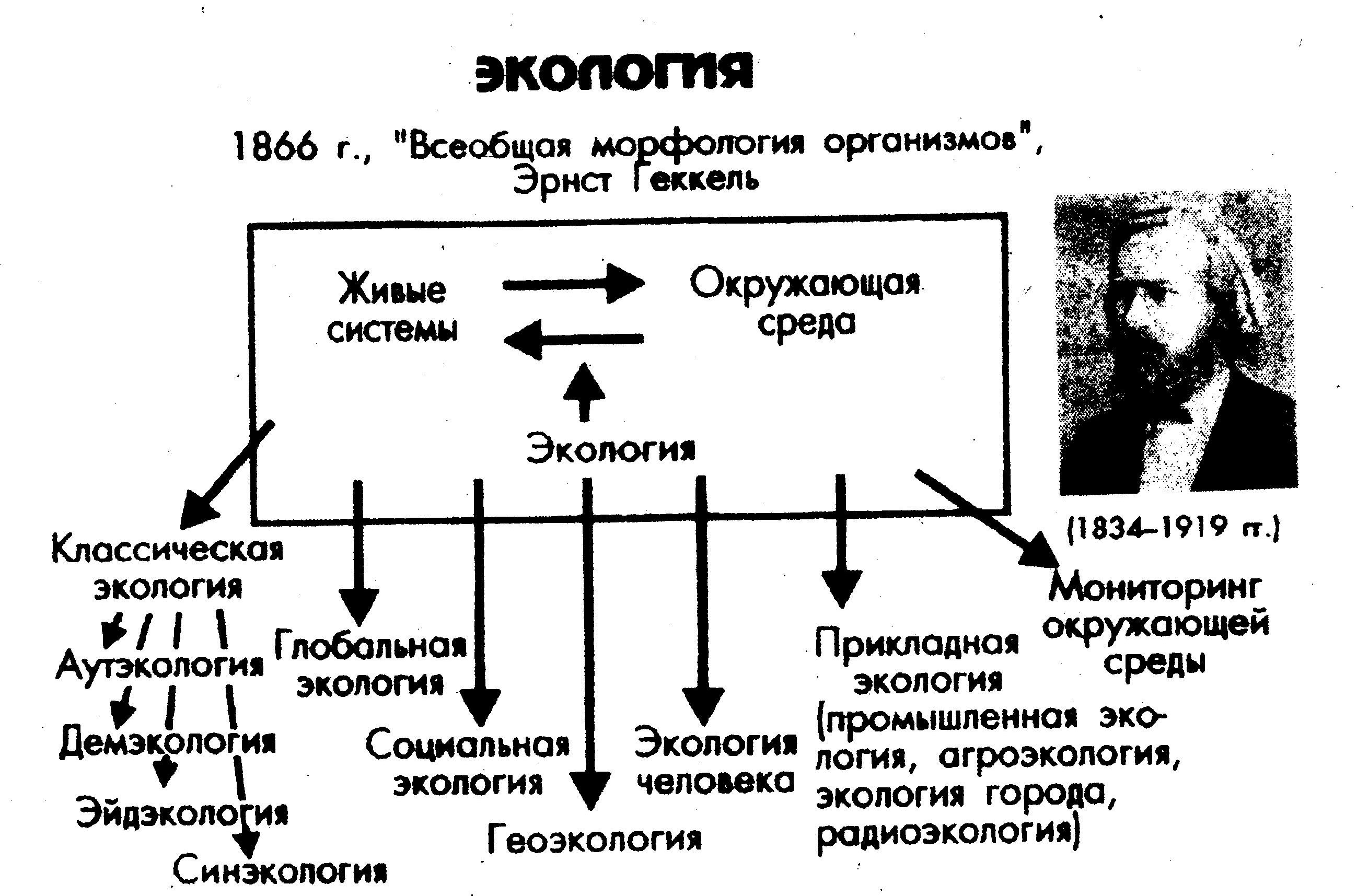 Рабочая тетрадь по экологии