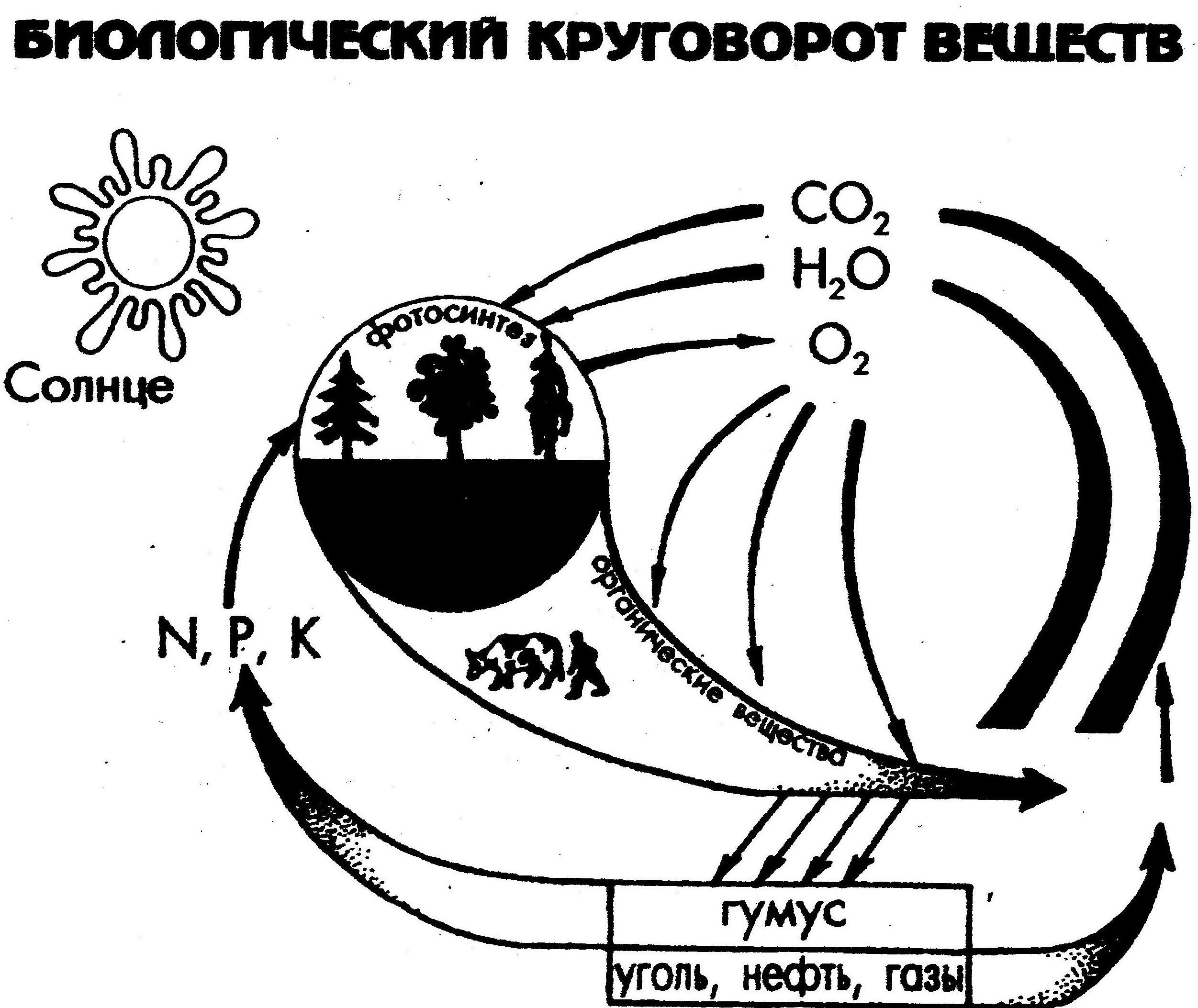 Рабочая тетрадь по экологии