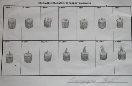 Презентация проекта Господин Лук