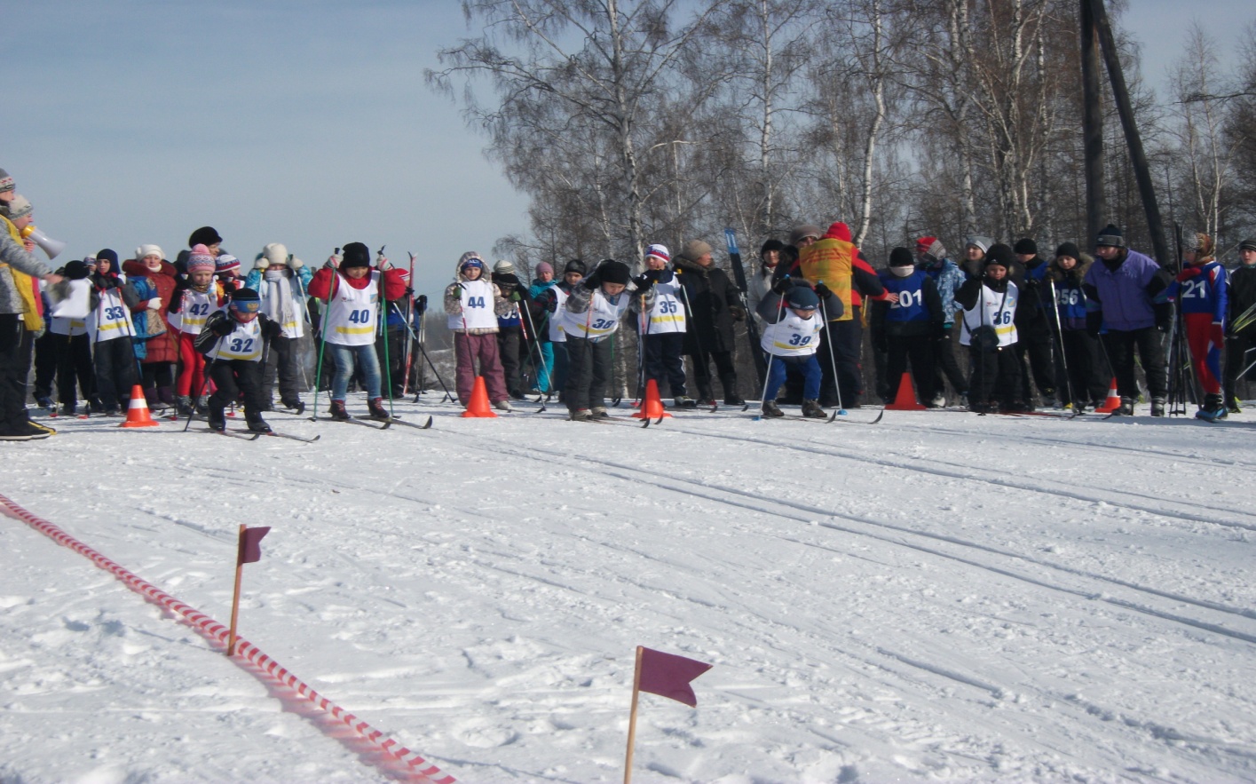 Программа по развитию ЗОЖ на лучшее образовательное учреждение 2014г