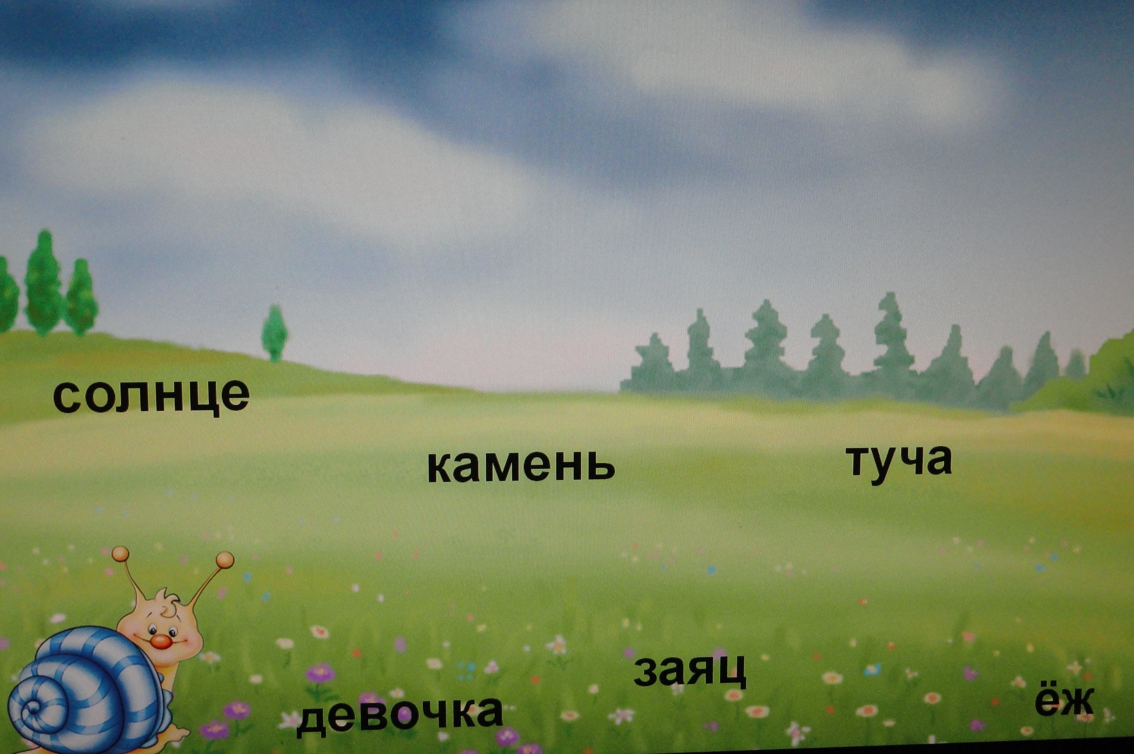 Конспект урока по русскому языку на тему « Различай слова, которые отвечают на вопросы кто? и что?» 3 класс школа VIII вида