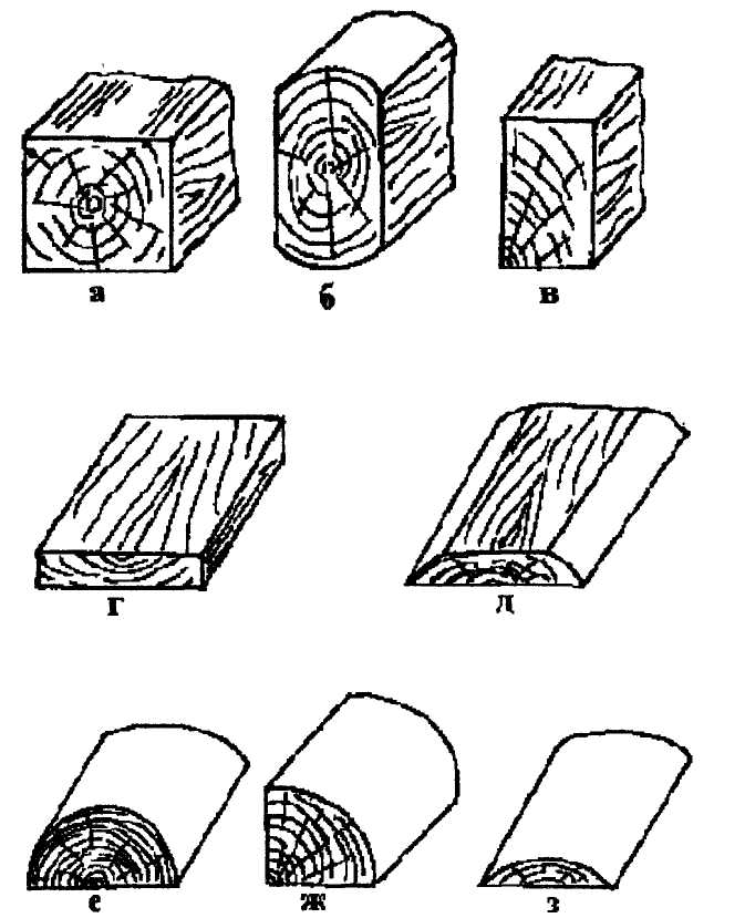 Породы древесины, части дерева. Виды пиломатериалов.