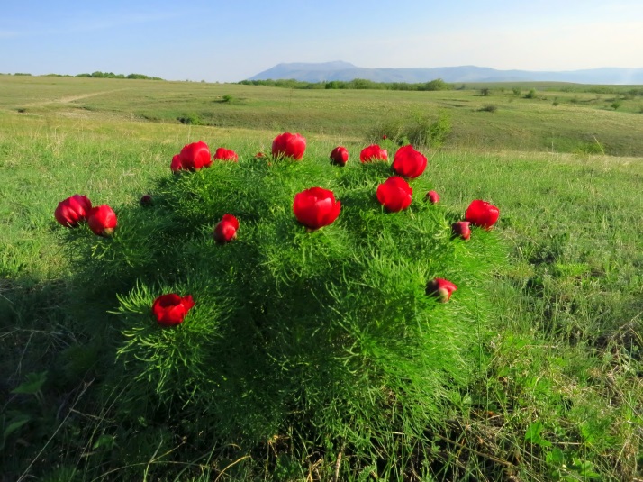 Классный час: Культурное наследие Донецкого края