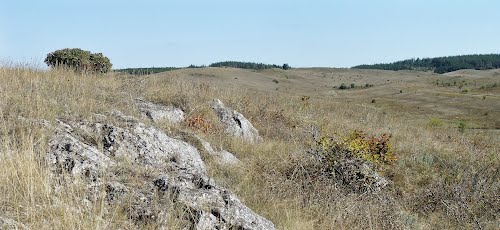 Классный час: Культурное наследие Донецкого края