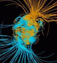 Информативно-реферативная исследовательская работа на тему: Инверсия магнитного поля Земли и его влияние на человека.