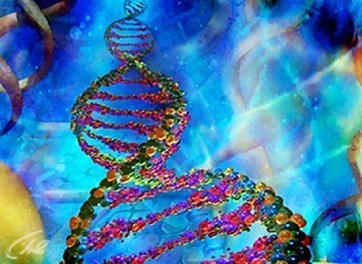 Методическая разработка по биологии на тему Генетическое определение пола. Наследование признаков, сцепленных с полом.