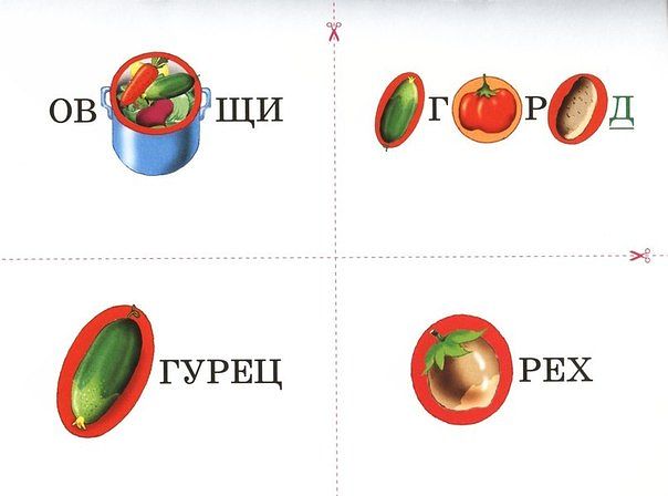 Словарные слова в картинках. Русский язык.