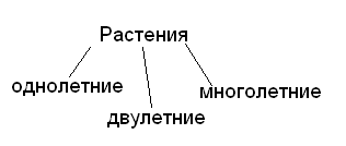 Урок природоведения «Путешествие Муравьишки» по теме «Растения – часть живой природы. Разнообразие растений. Значение растений.»