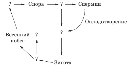 Вопросы для подготовки к зачету по теме Бактерии.Грибы.Водоросли (7 класс)