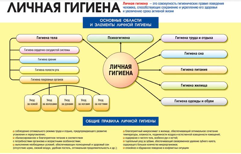 Конспект урока по ОБЖ по теме Личная гигиена в походных условиях. Оказание первой помощи в походе.