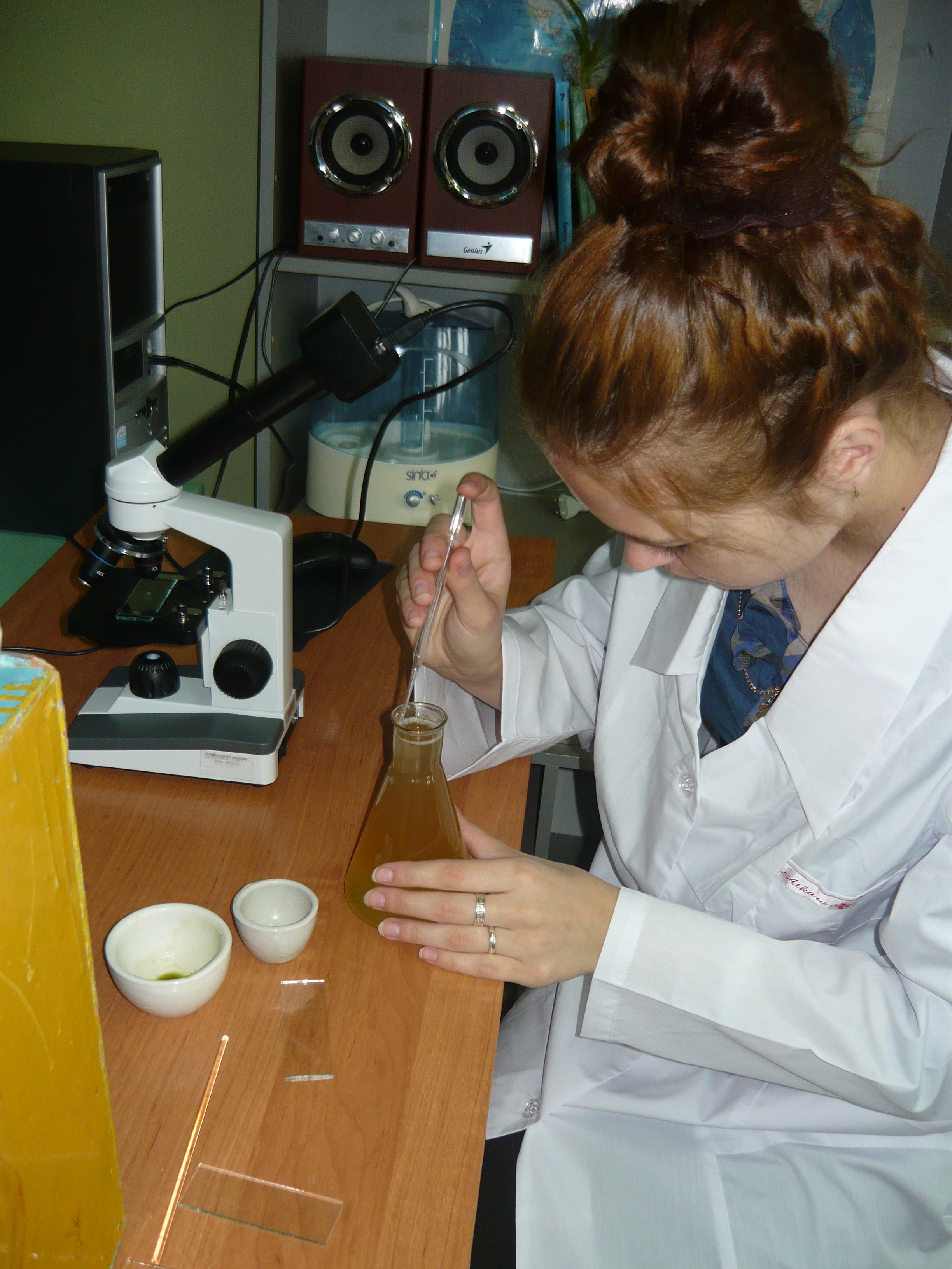 Исследовательская работа Изучение фитонцидной активности растений, произрастающих на территории села Щельябож, по их влиянию на микроорганизмы.