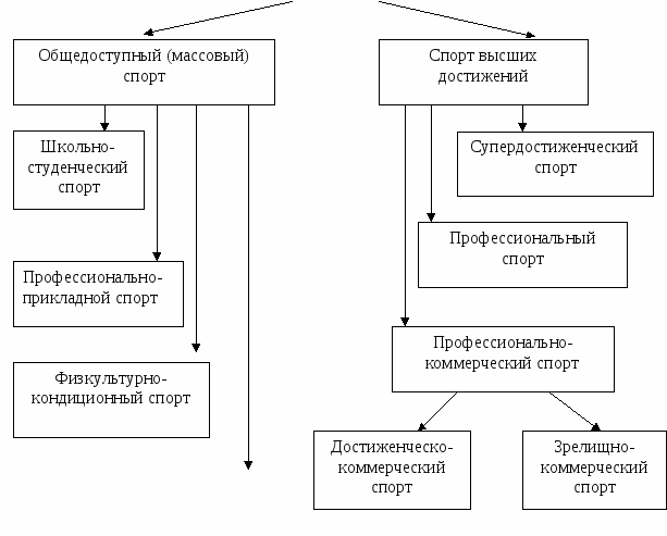 Учебно-методическое пособие с практикумом для студентов отделений физической культуры Основы спортивной тренировки